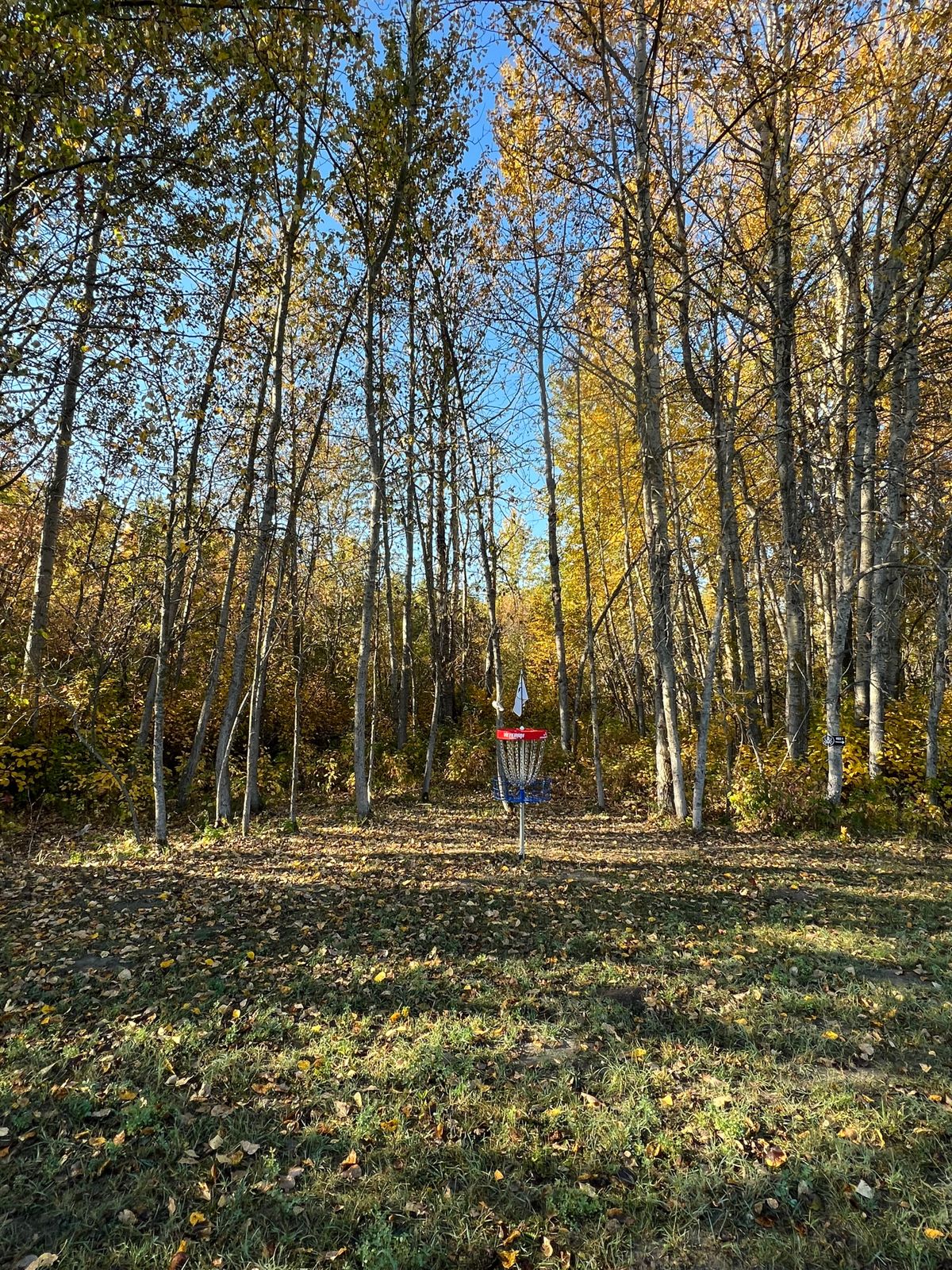 Hole 3 Green
