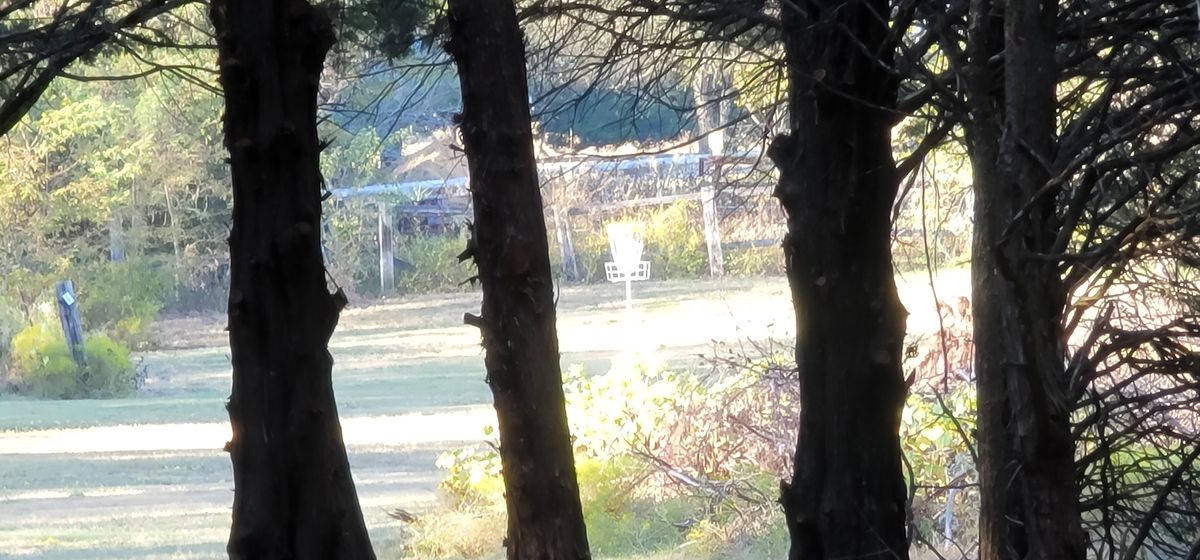 Hole 6 basket