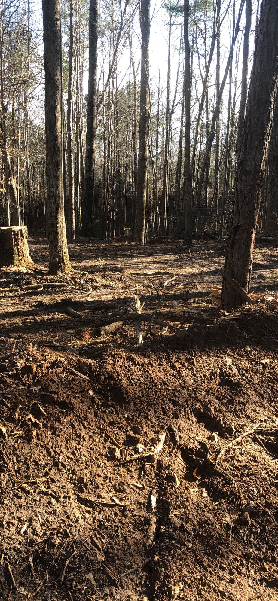 Hole 5 Approach