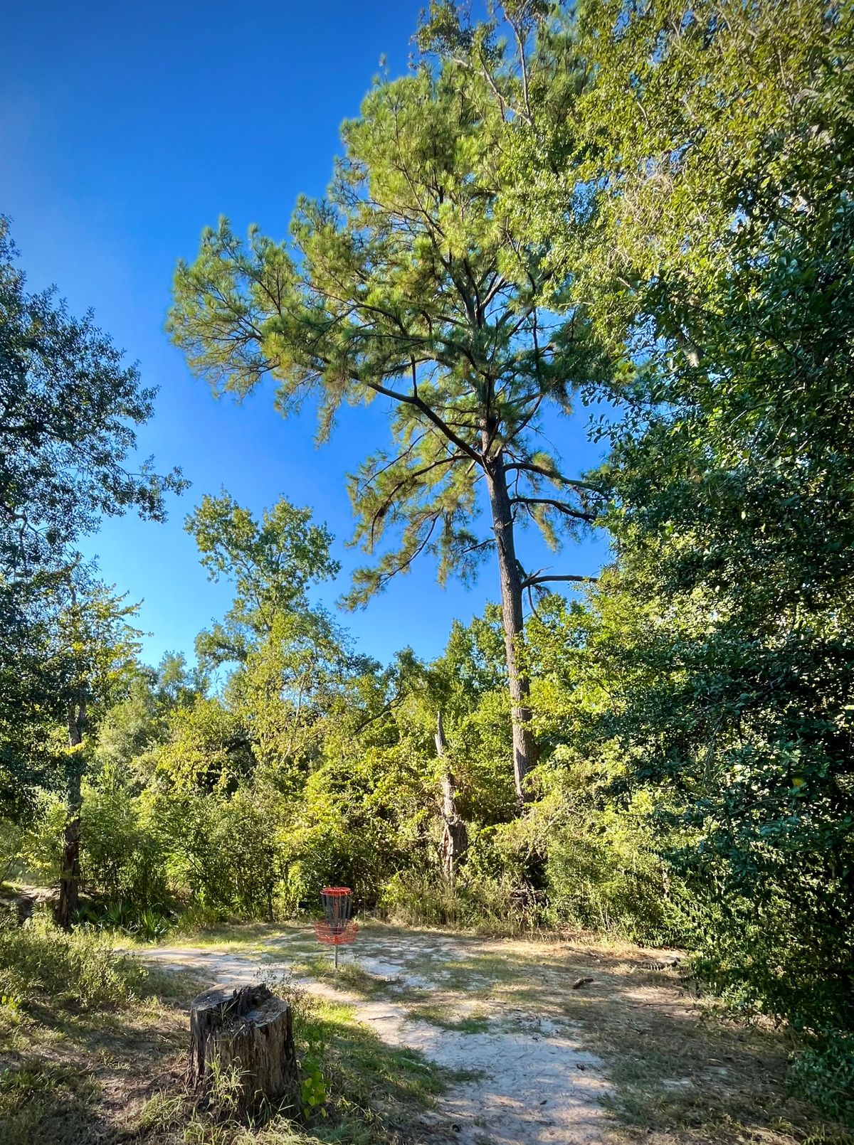 Hole 16