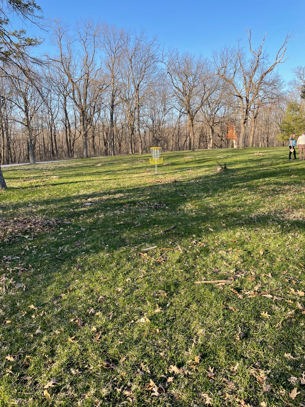 Basket of new hole 11.