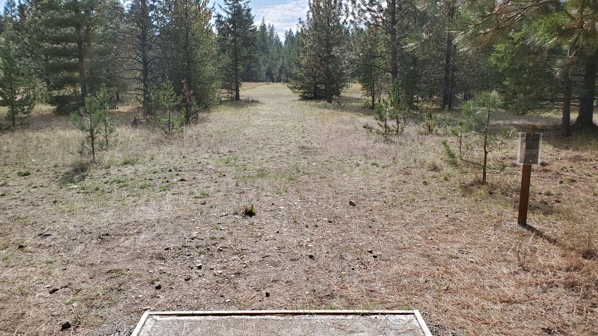Tee pad hole 7