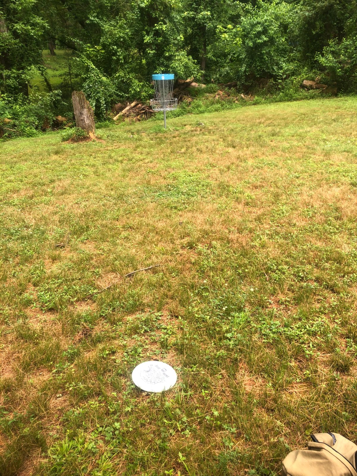 Looking at the basket of Hole 9