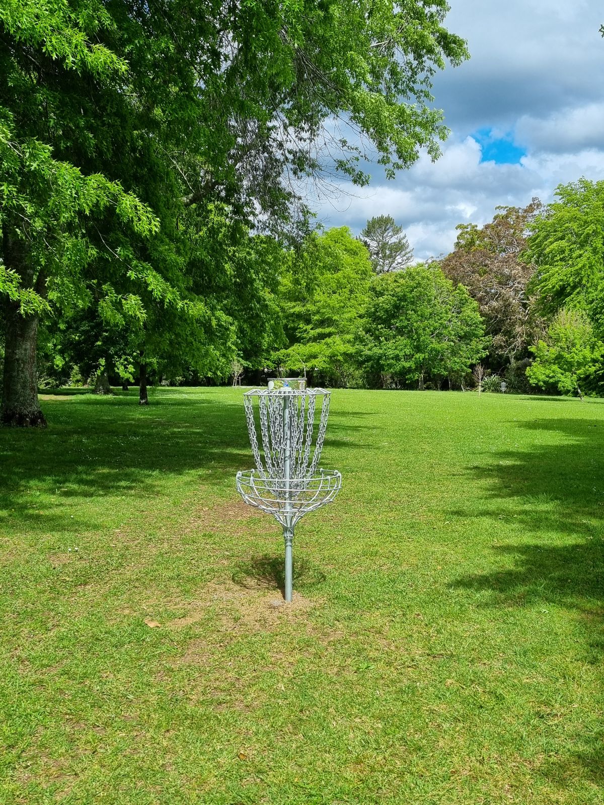 Hole 6 basket looking duenna fairway back toward tee