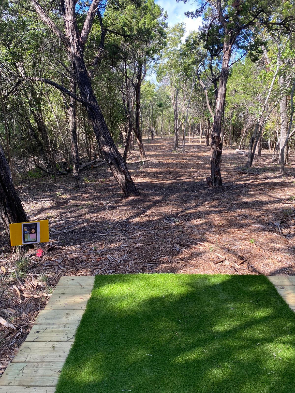 Hole 11 Tee