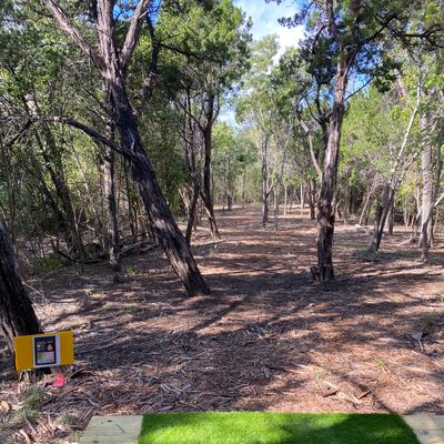 Hole 11 Tee