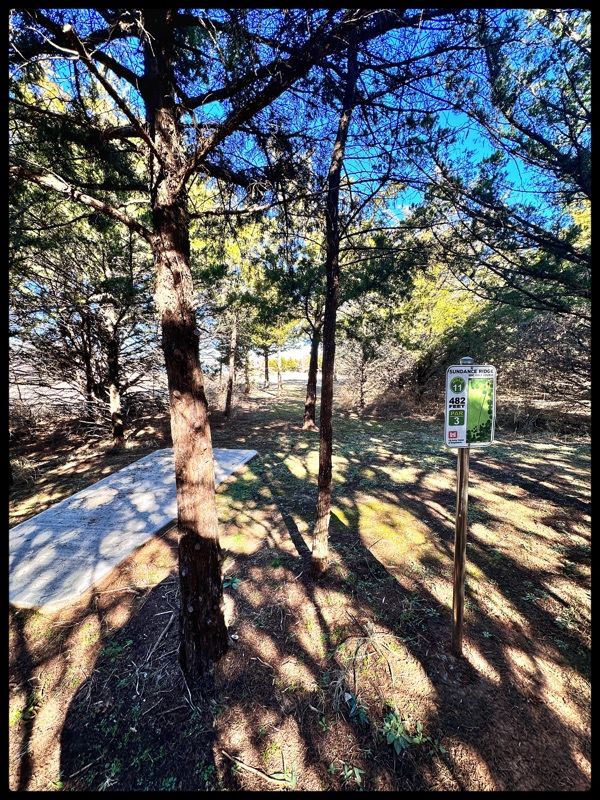 #11 tee in trees throwing northward