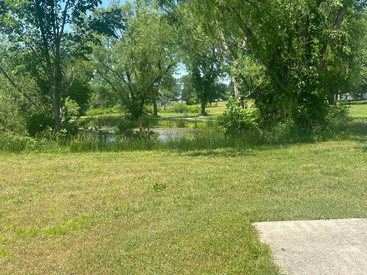 Hole #11 Tee