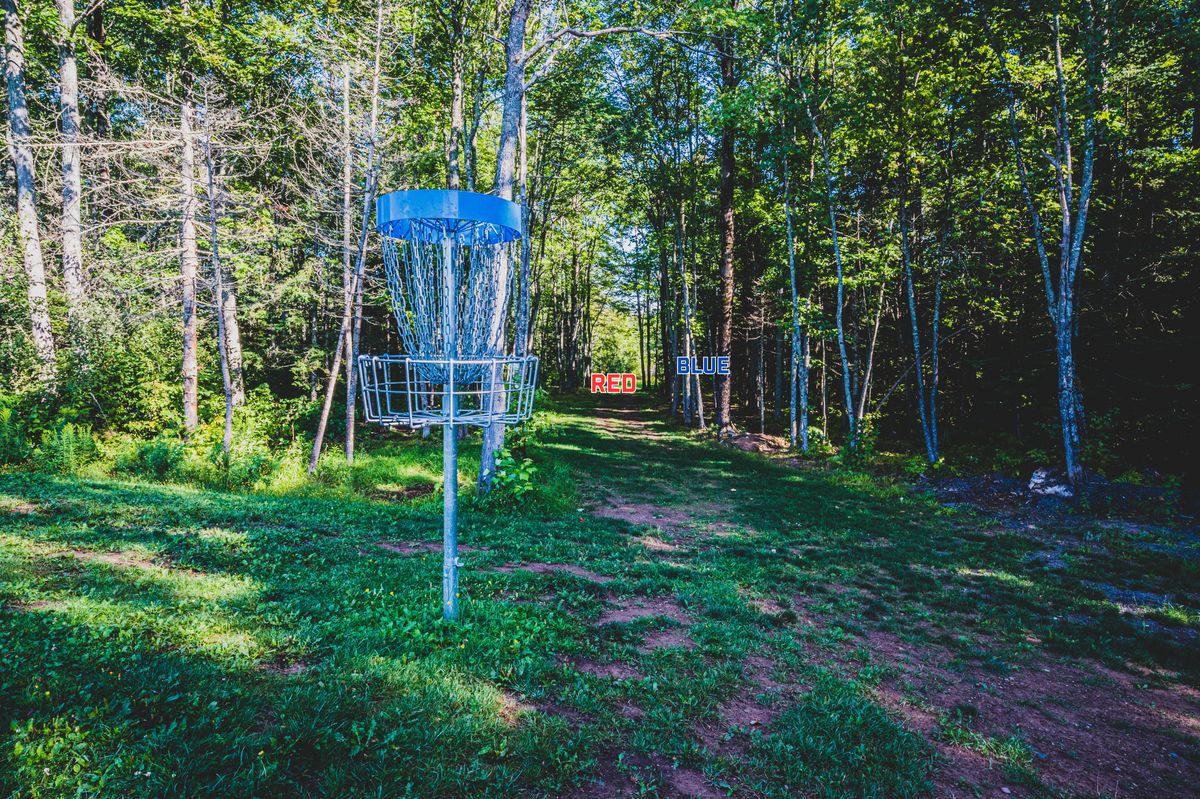 Hole 10 Basket looking towards tees. 