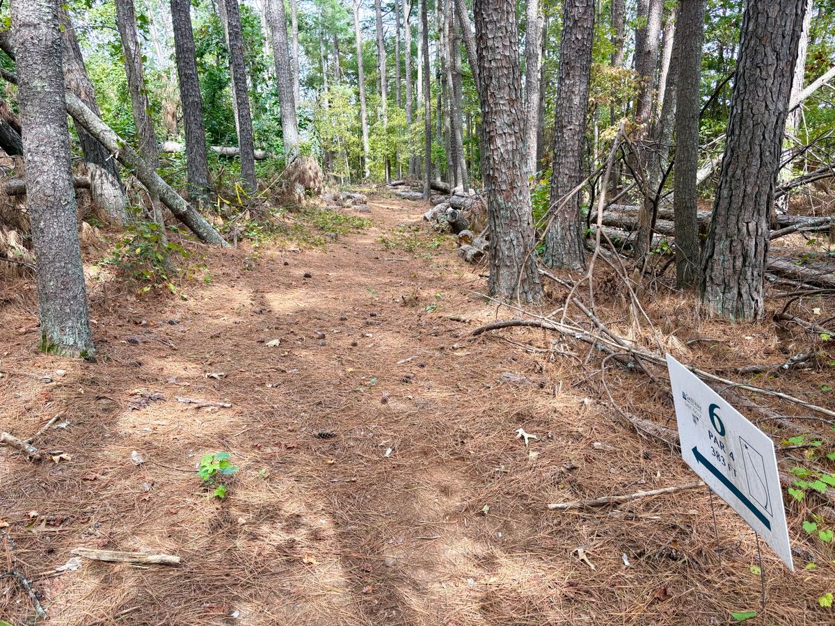 Hole 6 tee