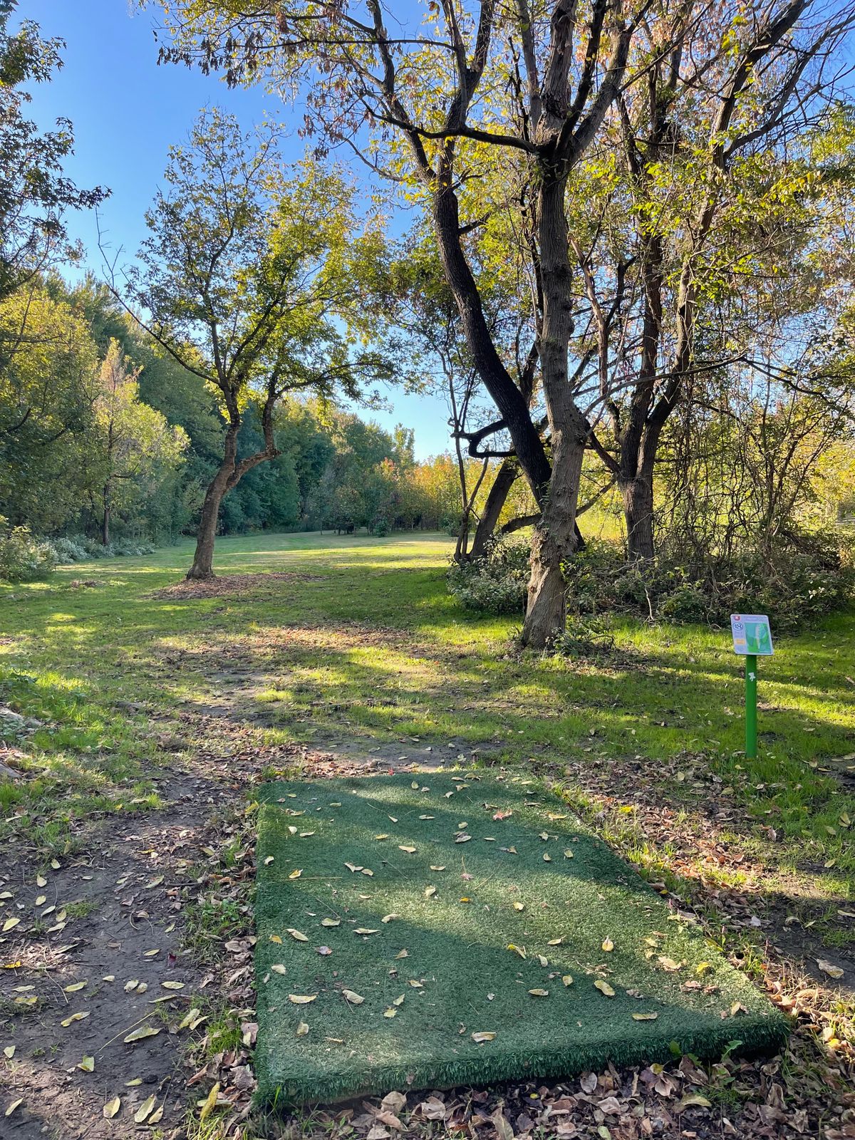 18 short tee