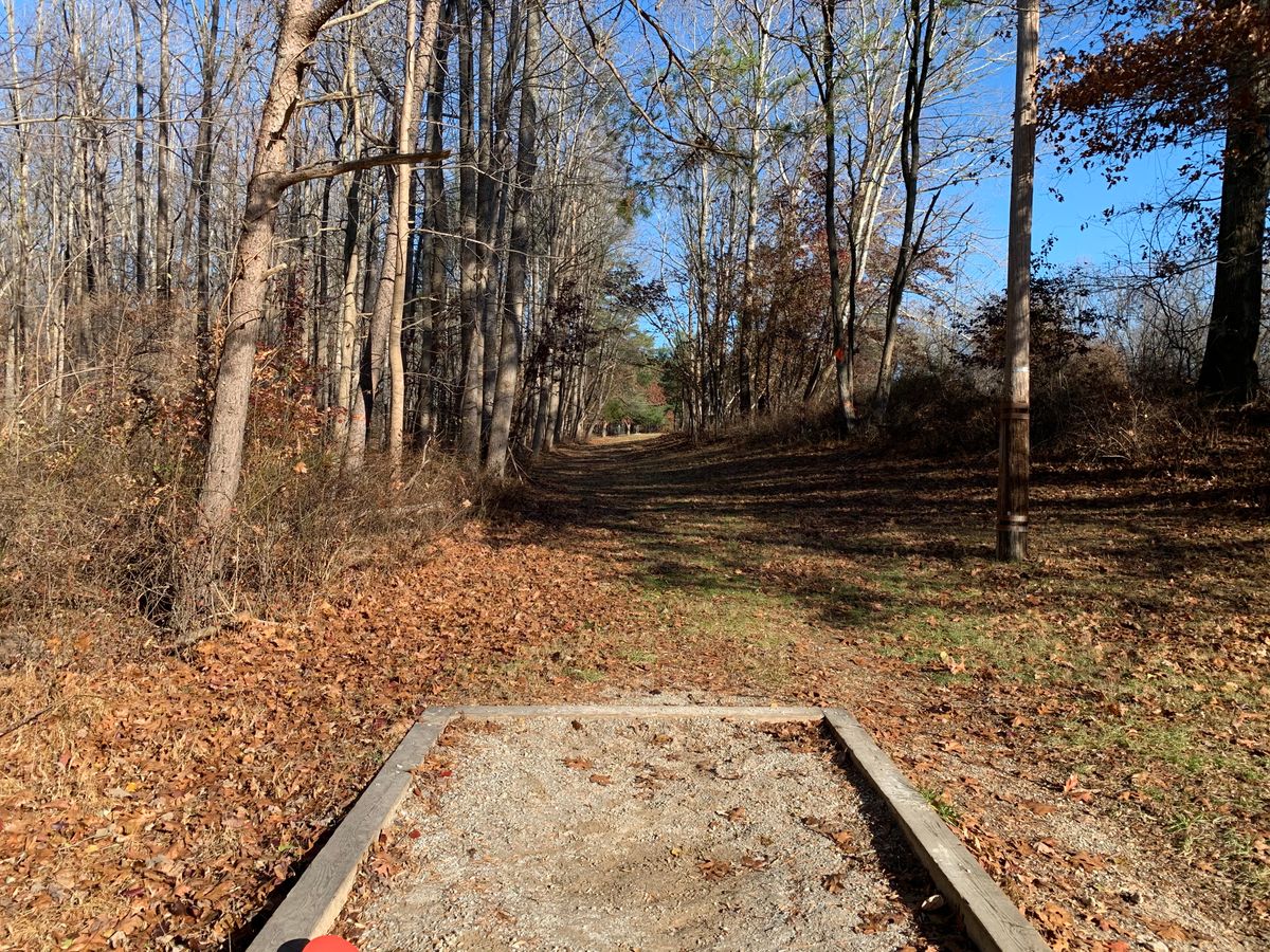 Hole 2 (short tee)