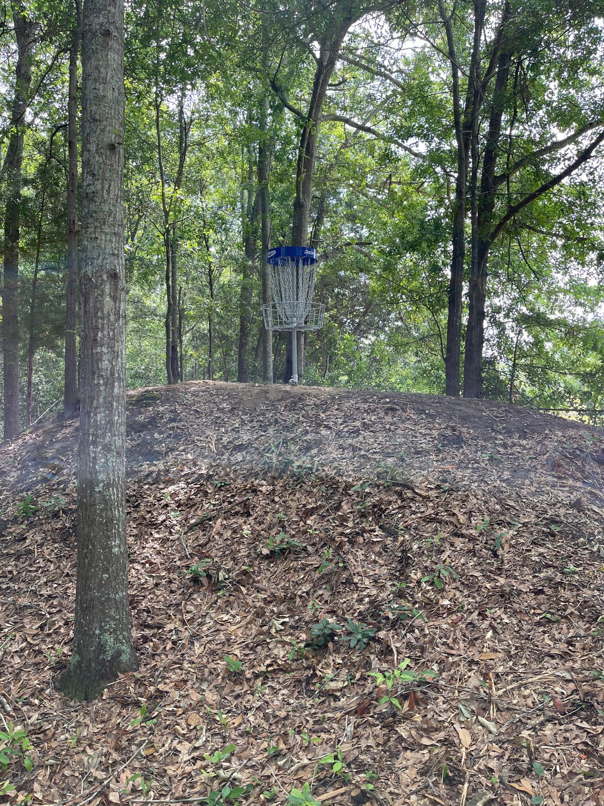 Hole 16