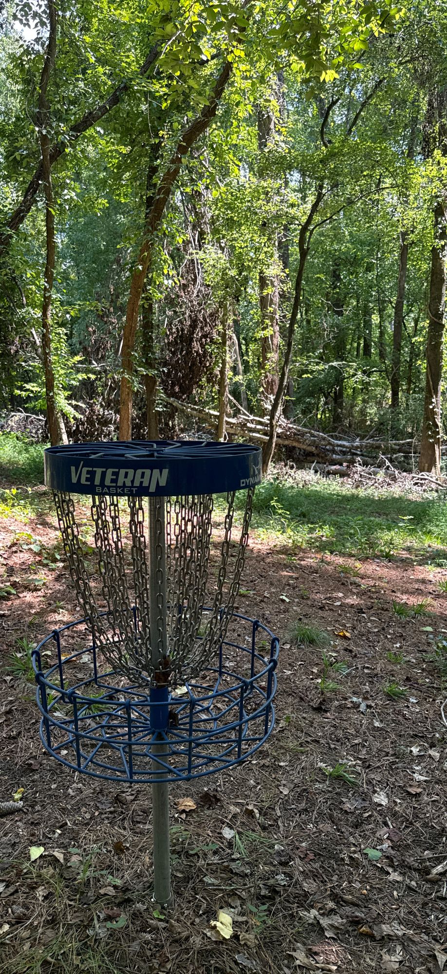 Hole 5 basket looking back towards the pad