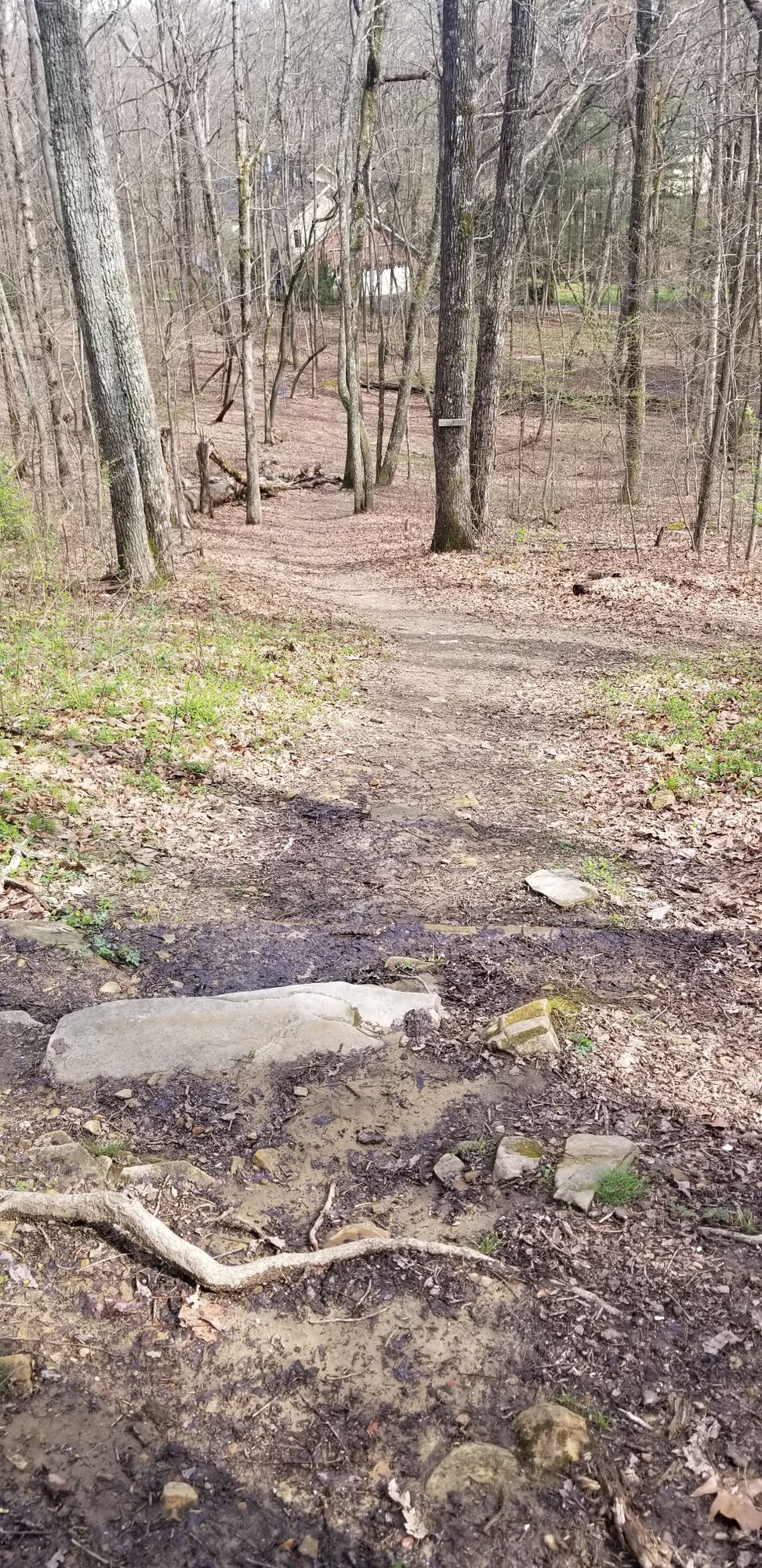Hole 2 "tee pad" is a little sketchy.