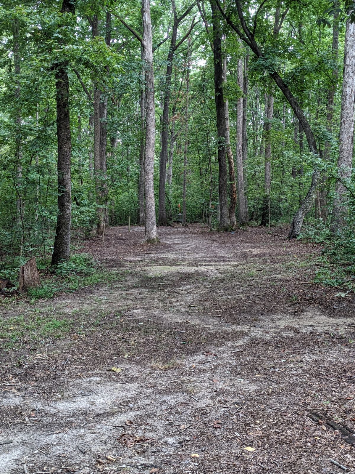 Looking down fairway of 2 from red tee pad.