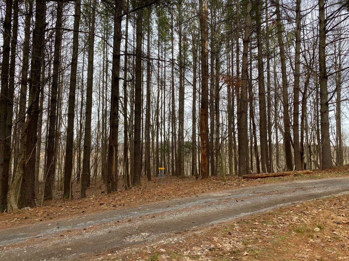 One of two possible basket positions on hole 4