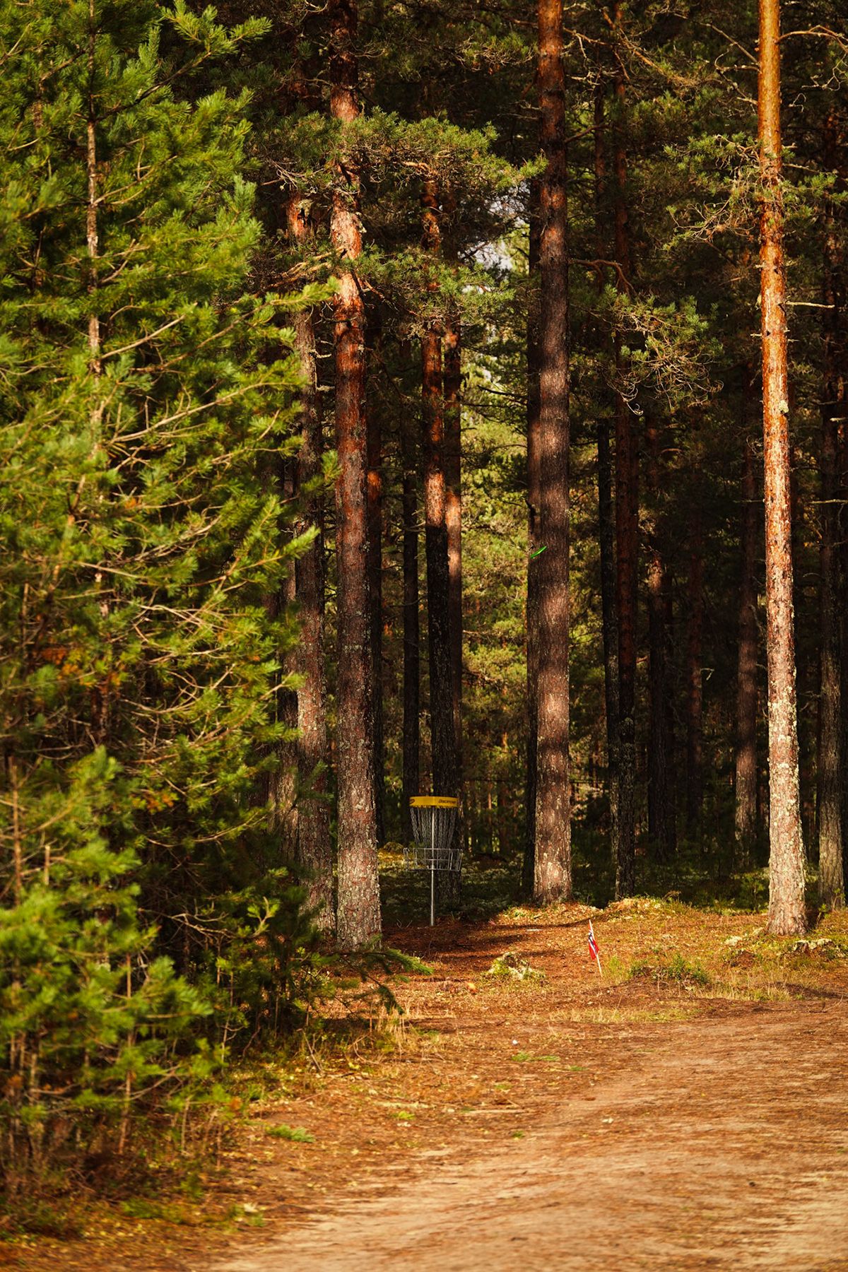 Basket hole 24