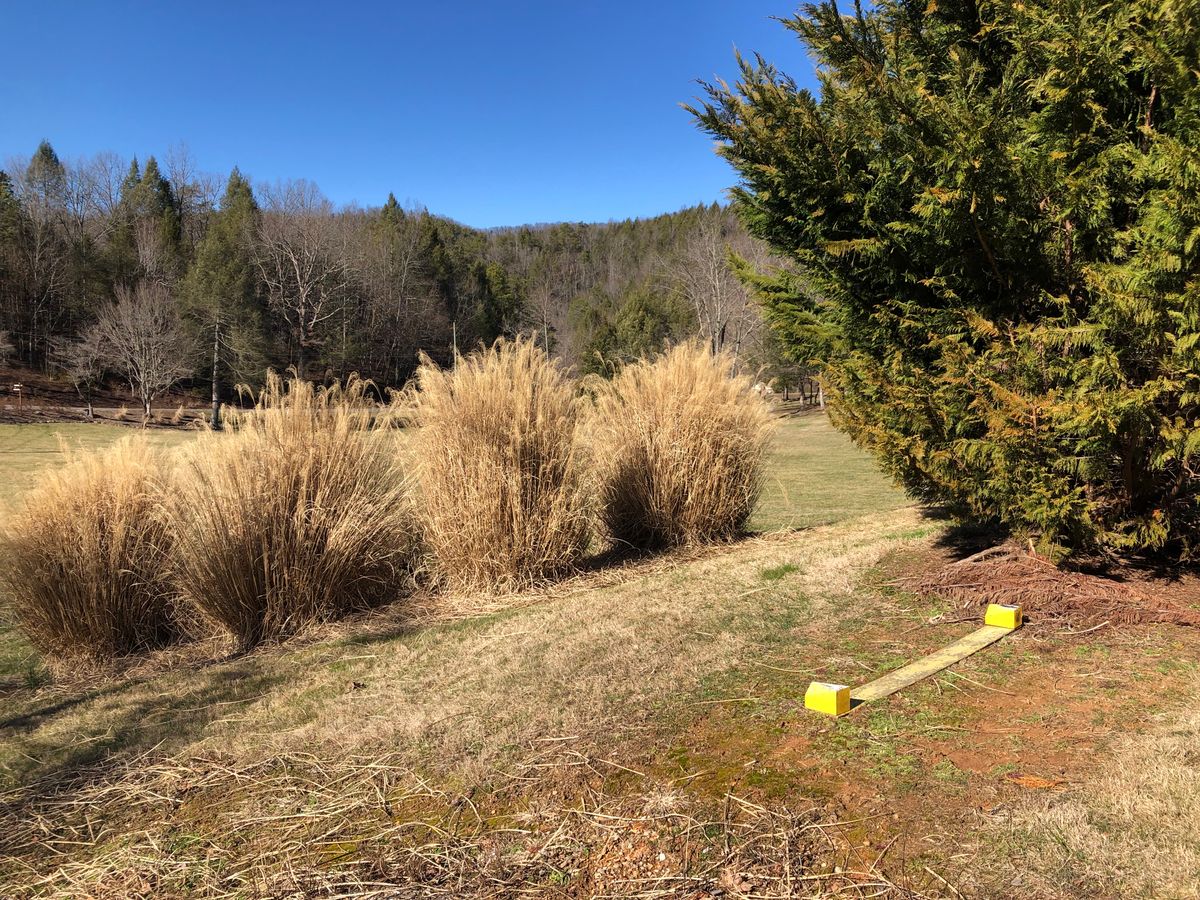 Hole 7 tee