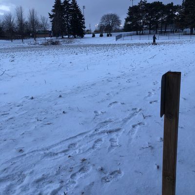 Hole 5 Tee looking across to #1 Fairway.
