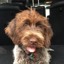 User avatar image