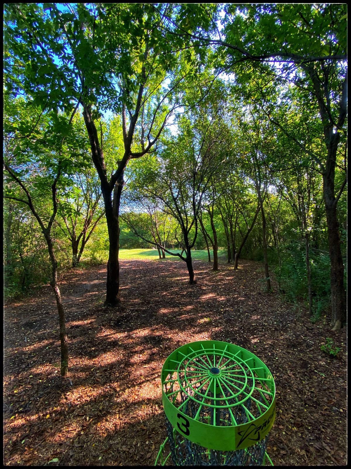 #3 in the Trees looking back towards Tee
