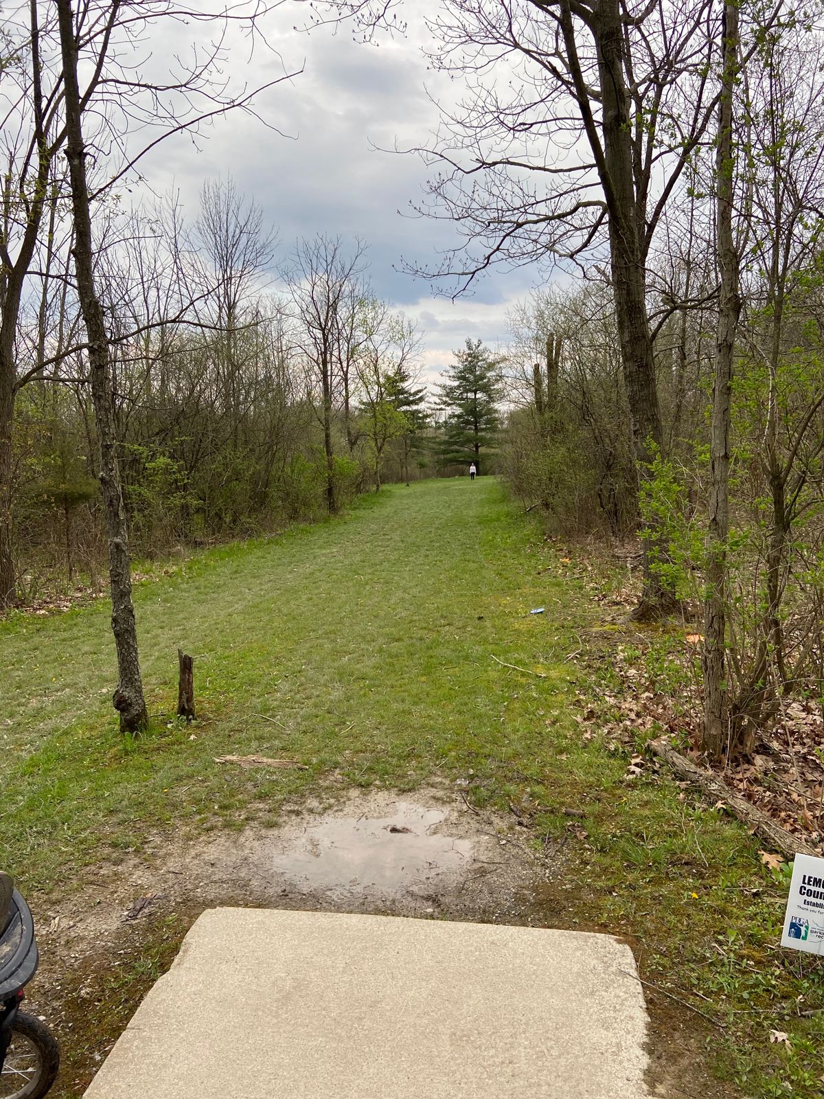 Hole 11. 330 feet. Pin is past the trees on the right.