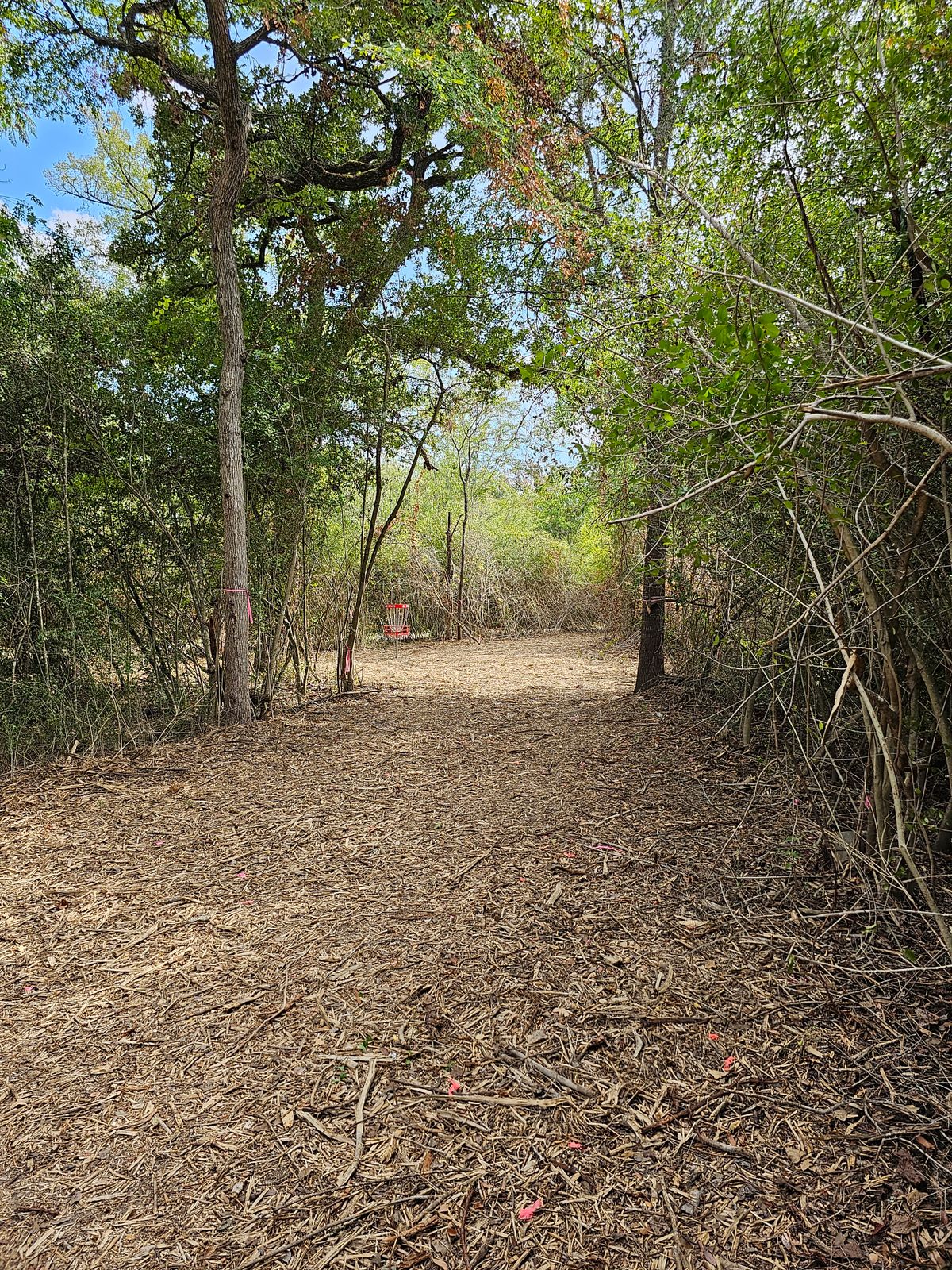 Hole 5 Approach