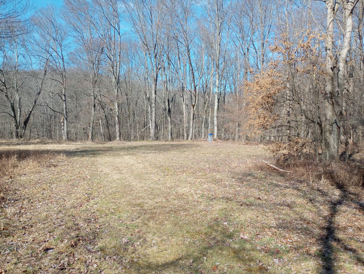 Hole 5 green