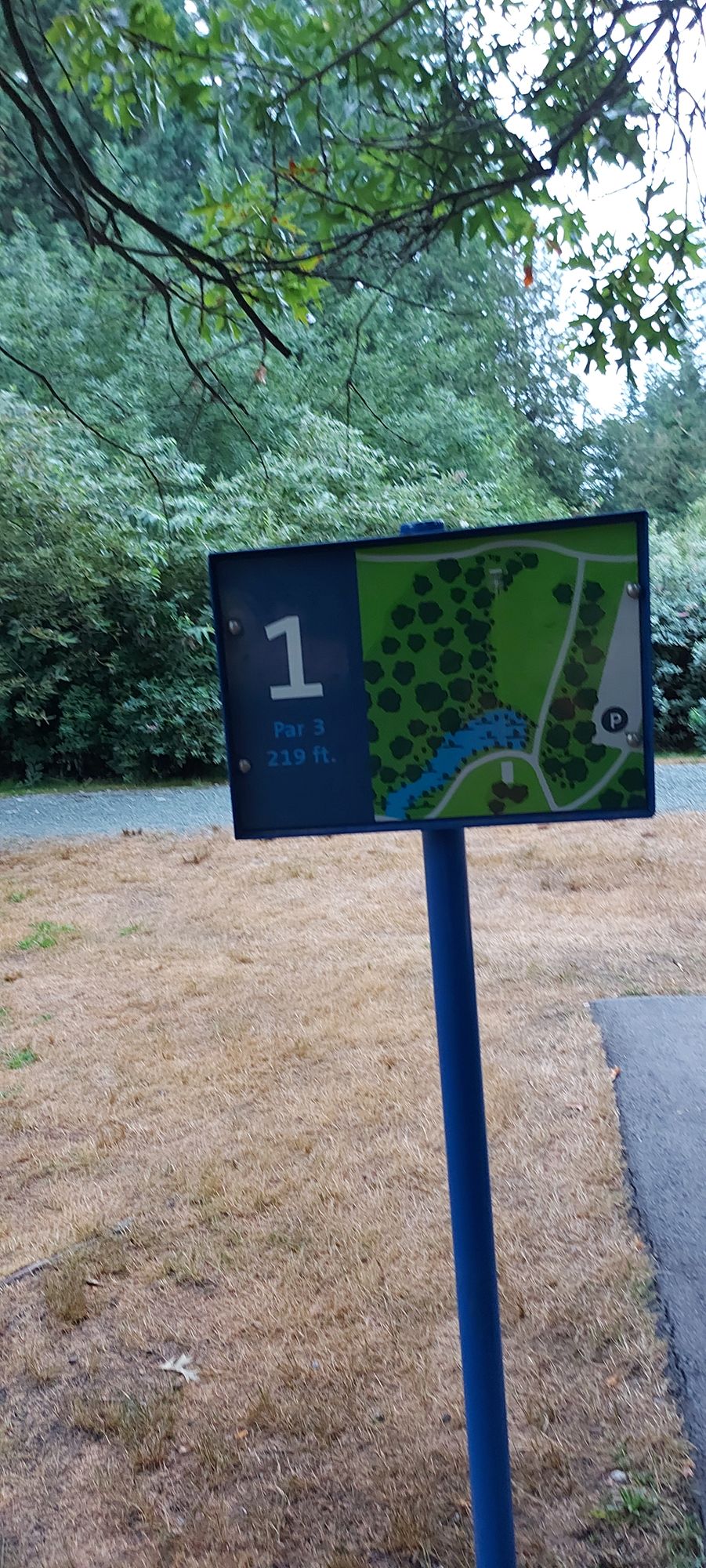 Hole sign #1 🍁🍃🍁🍃