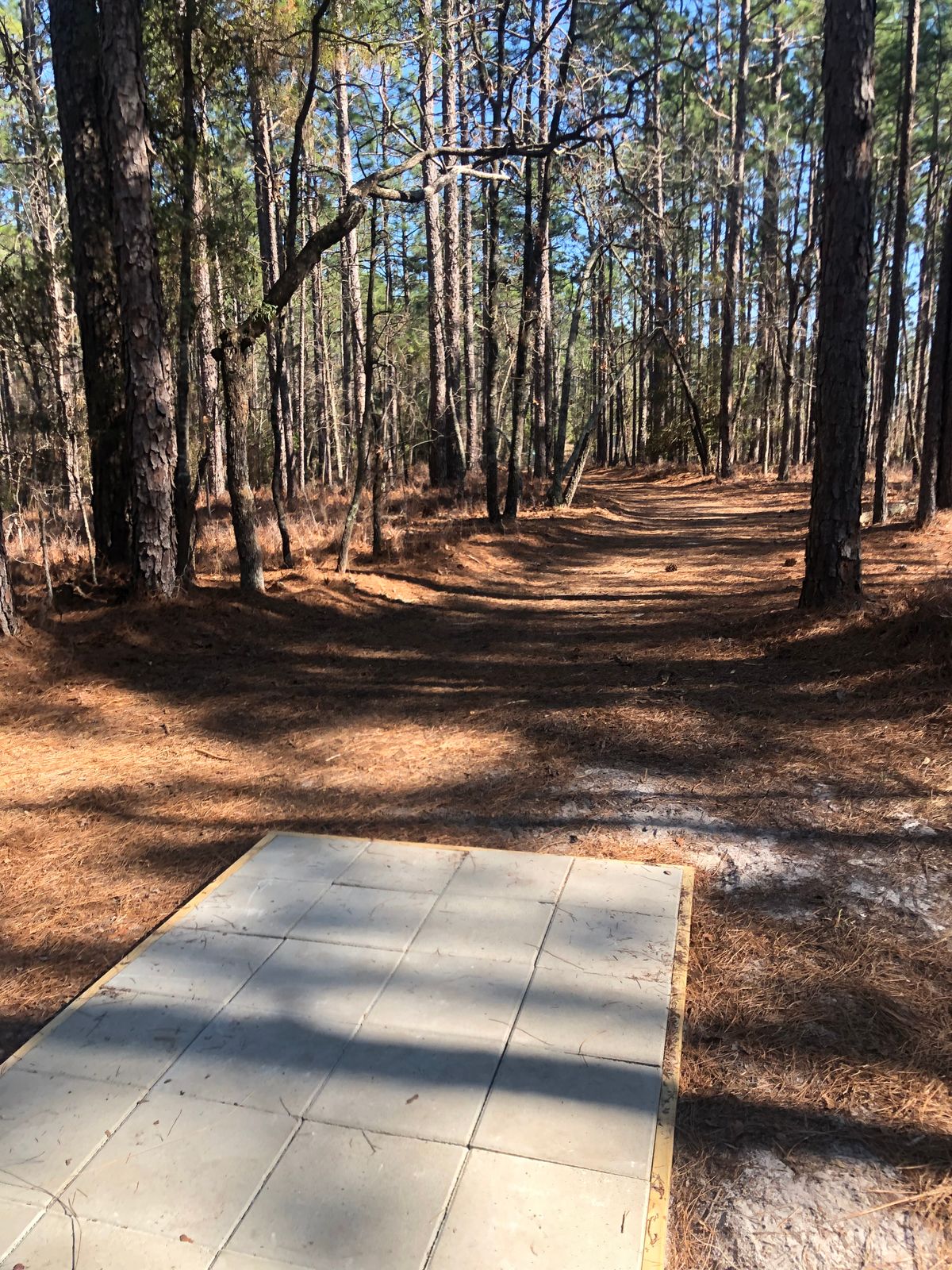 Hole 6. Short hyzer to the left.