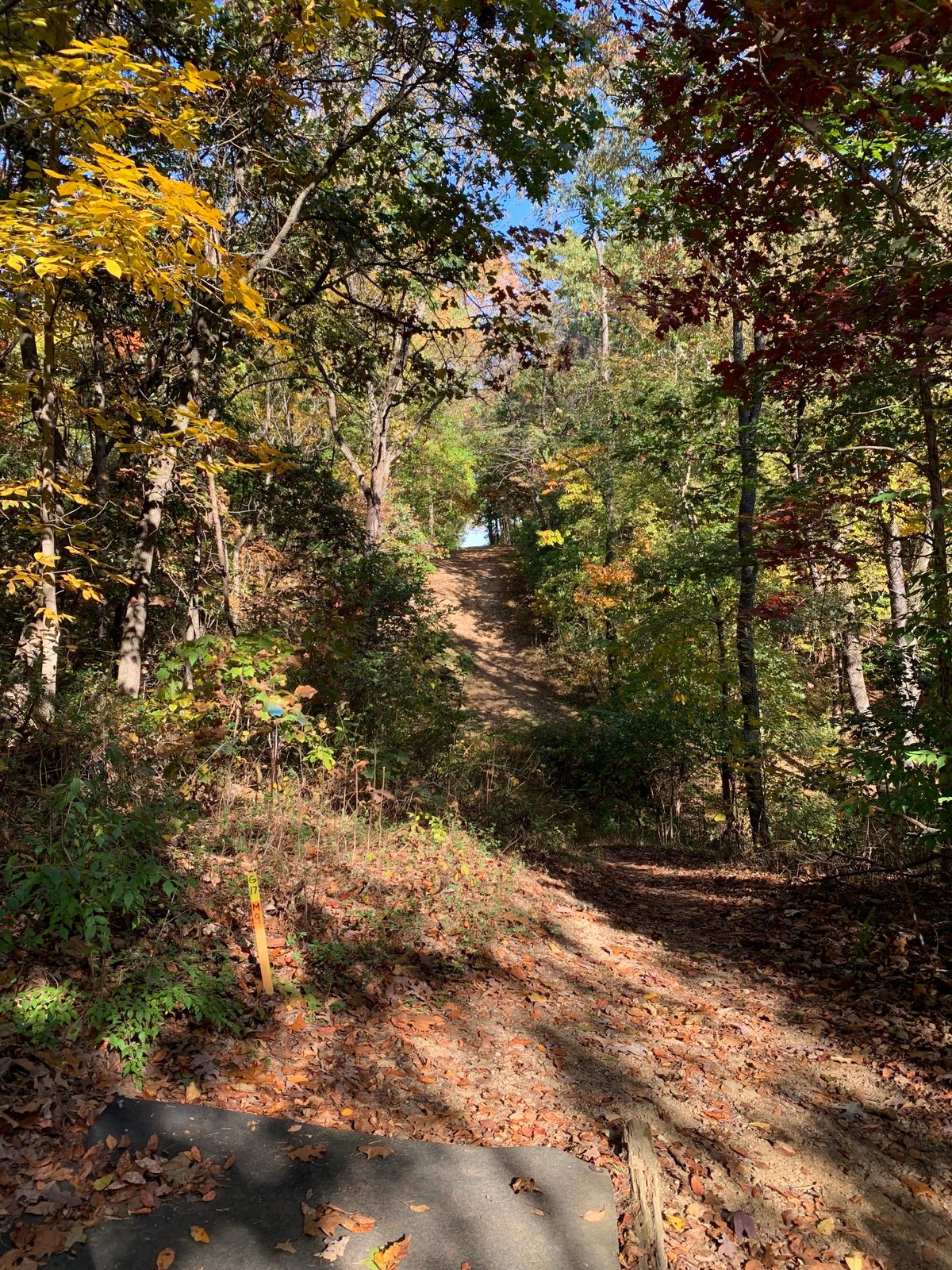 Hole 17. Basket is short and pretty hard left.