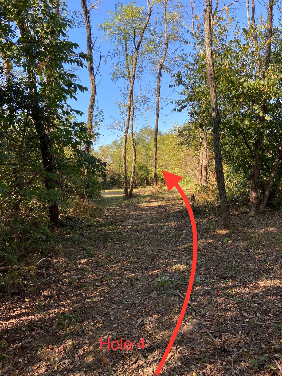 Hole 4