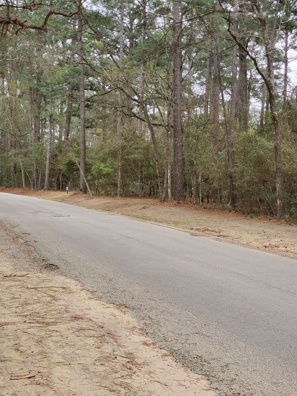 Hole 21, approach to basket