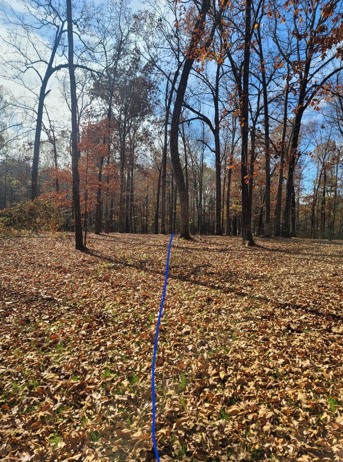 Hole 12
Long 274