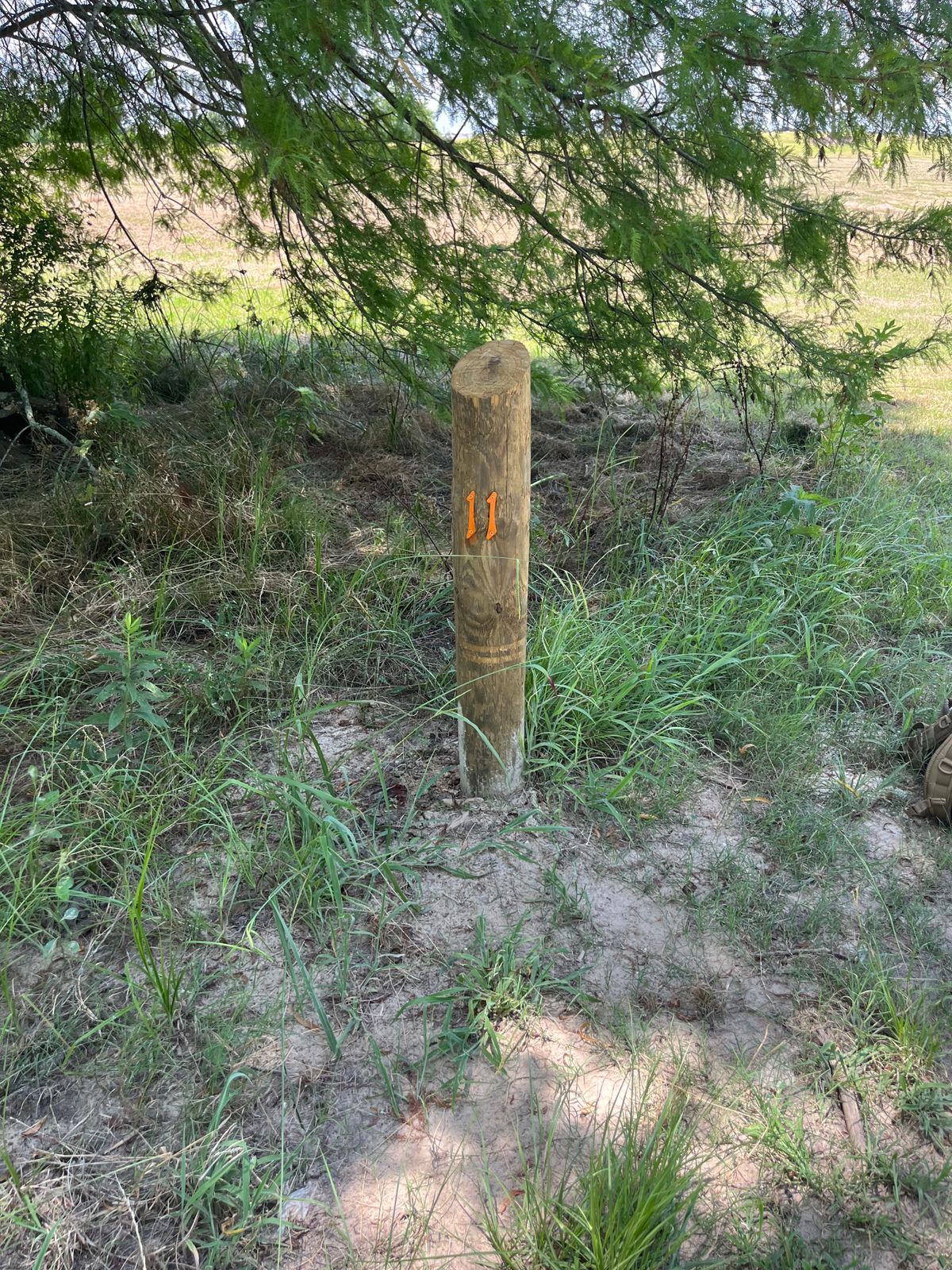 Hole 11