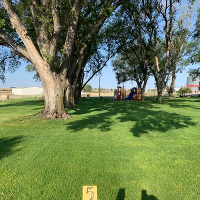 Hole 5 tee area