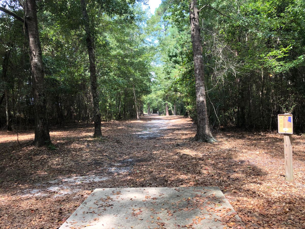 Hole 9 - Gold