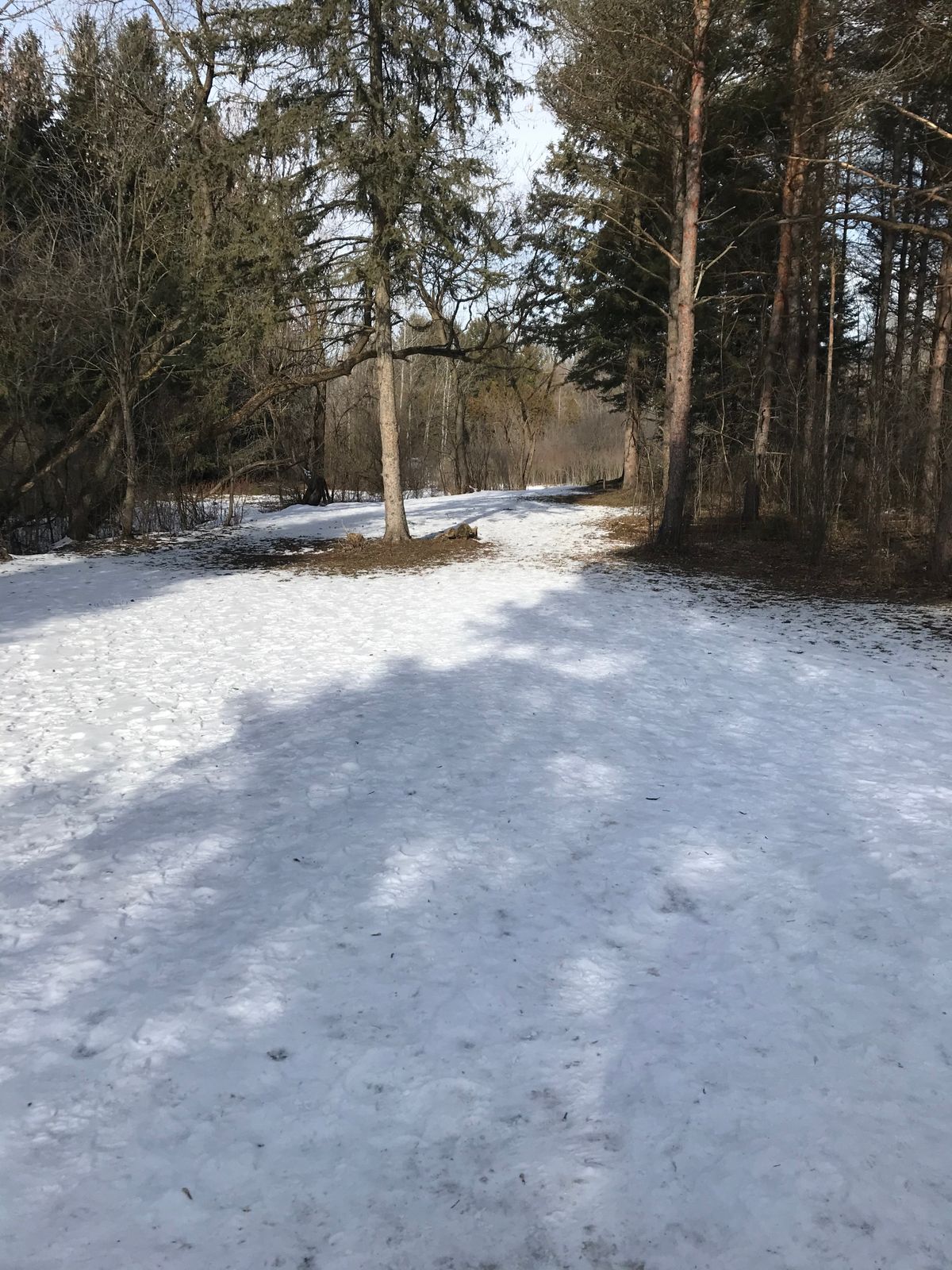 Hole 17 short tee