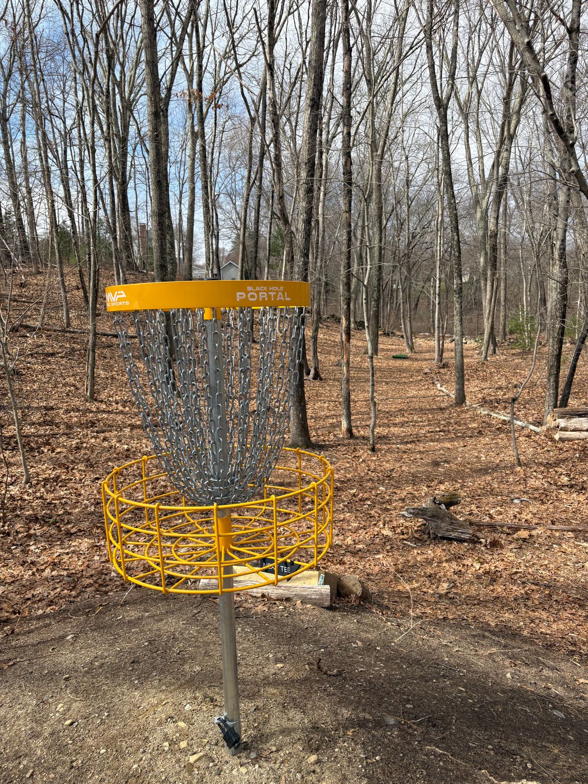 Hole 9 basket and fairway