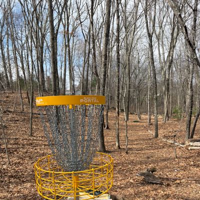 Hole 9 basket and fairway