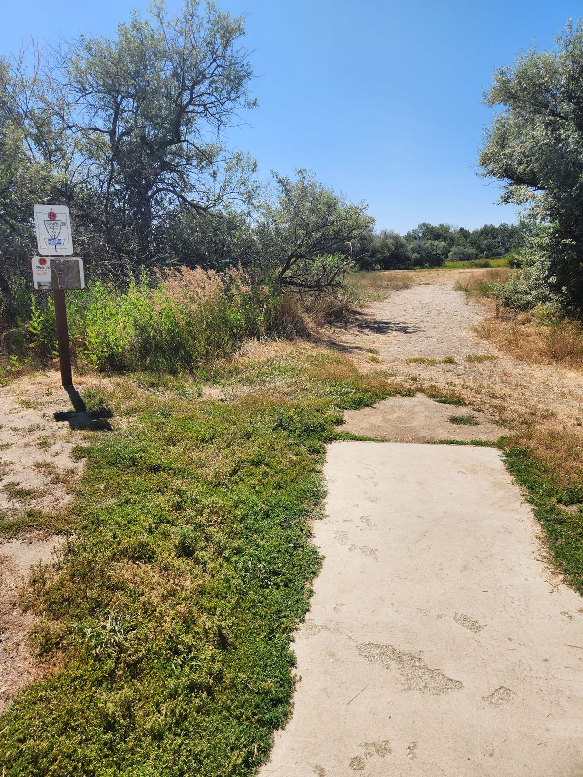Tee Pad #10