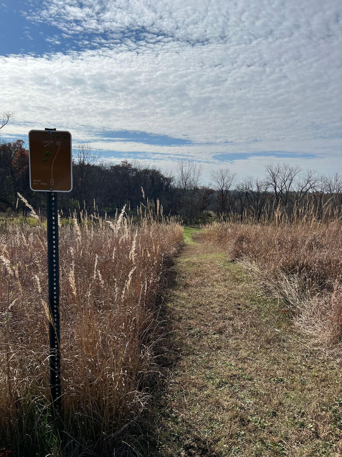Hole 6, fantastic long downhill throw. Don't turn your disc over.