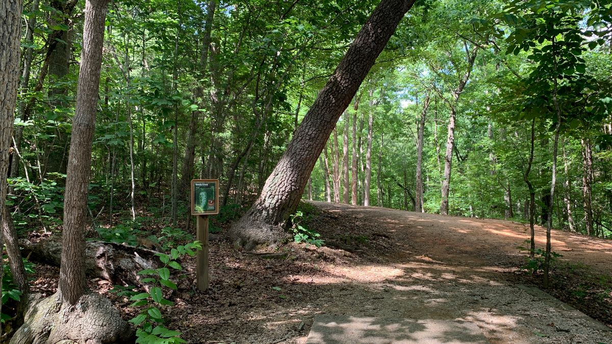 Hole 7