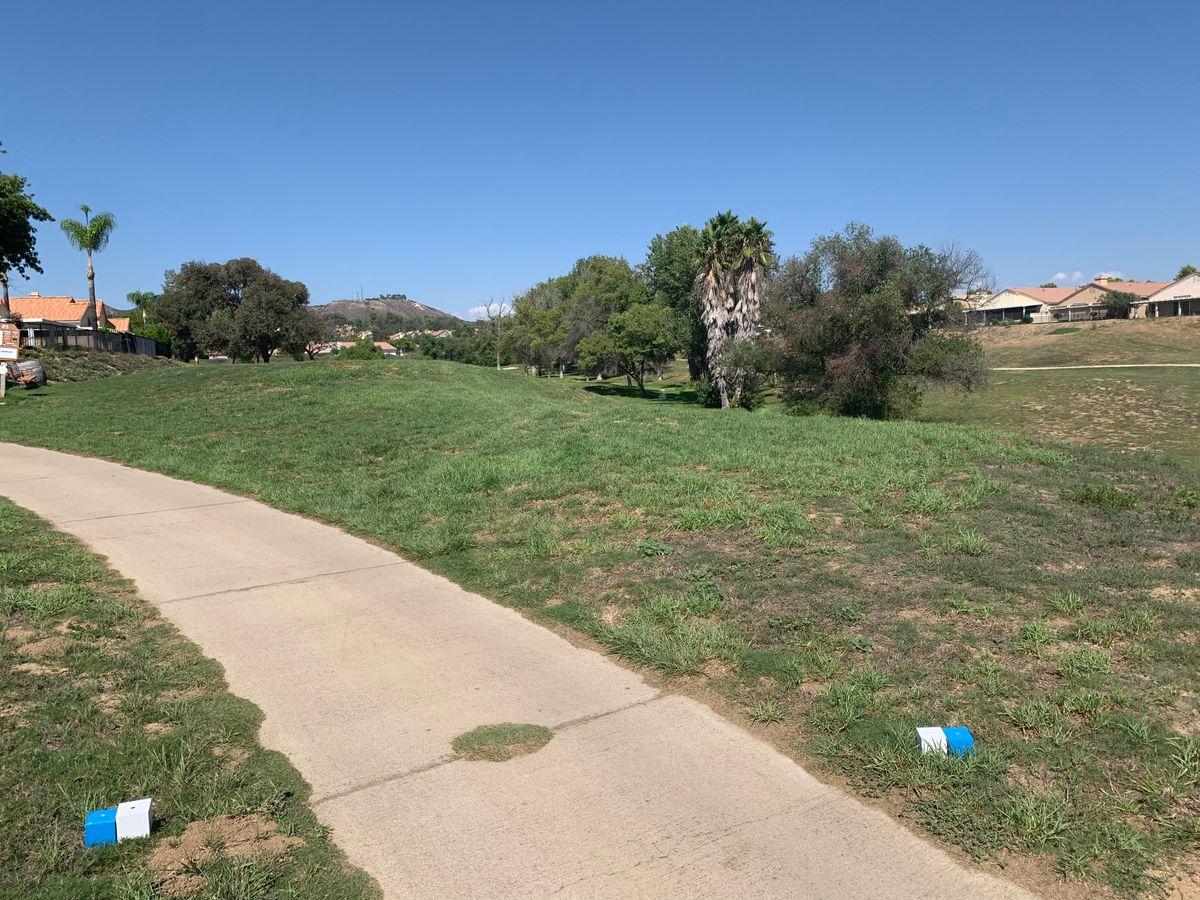 Alpha Hole 4 Tee