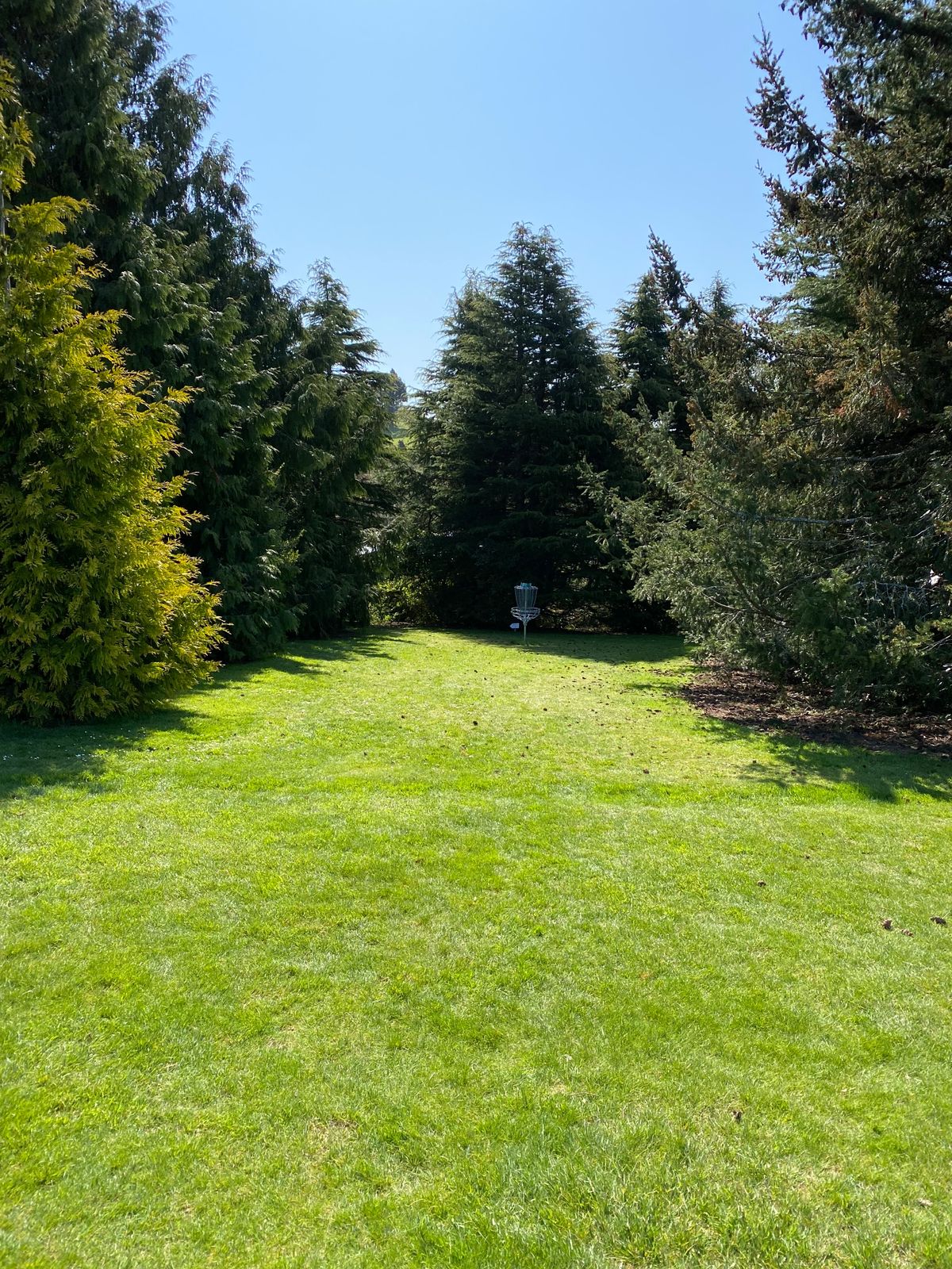 Aim for the light green tree and then hit the straight tunnel towards the basket.