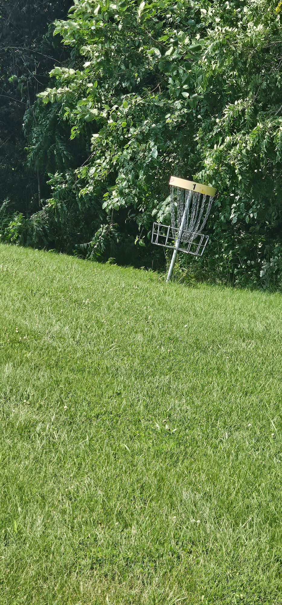 Several crooked baskets