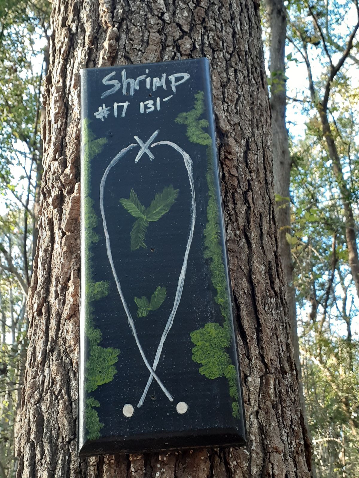 Hole #17, Shrimp