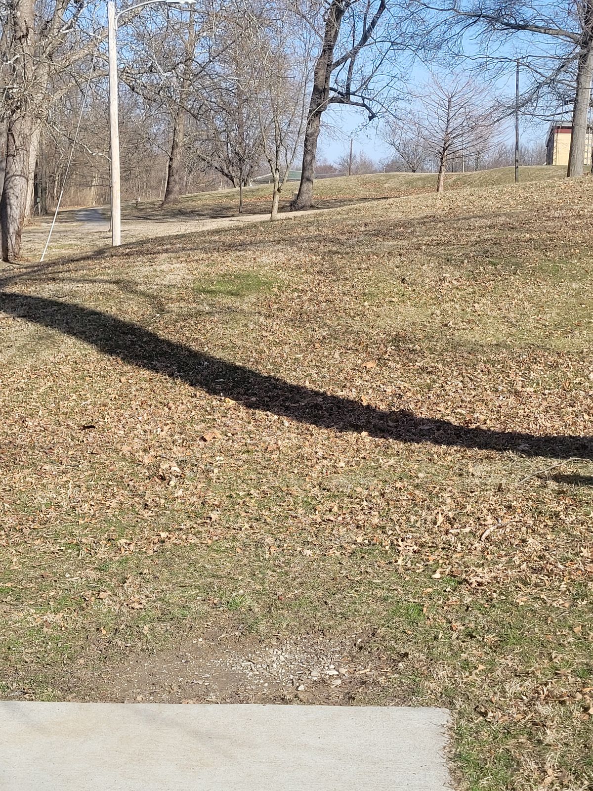 Tee pad 07, Basket behind tree.
