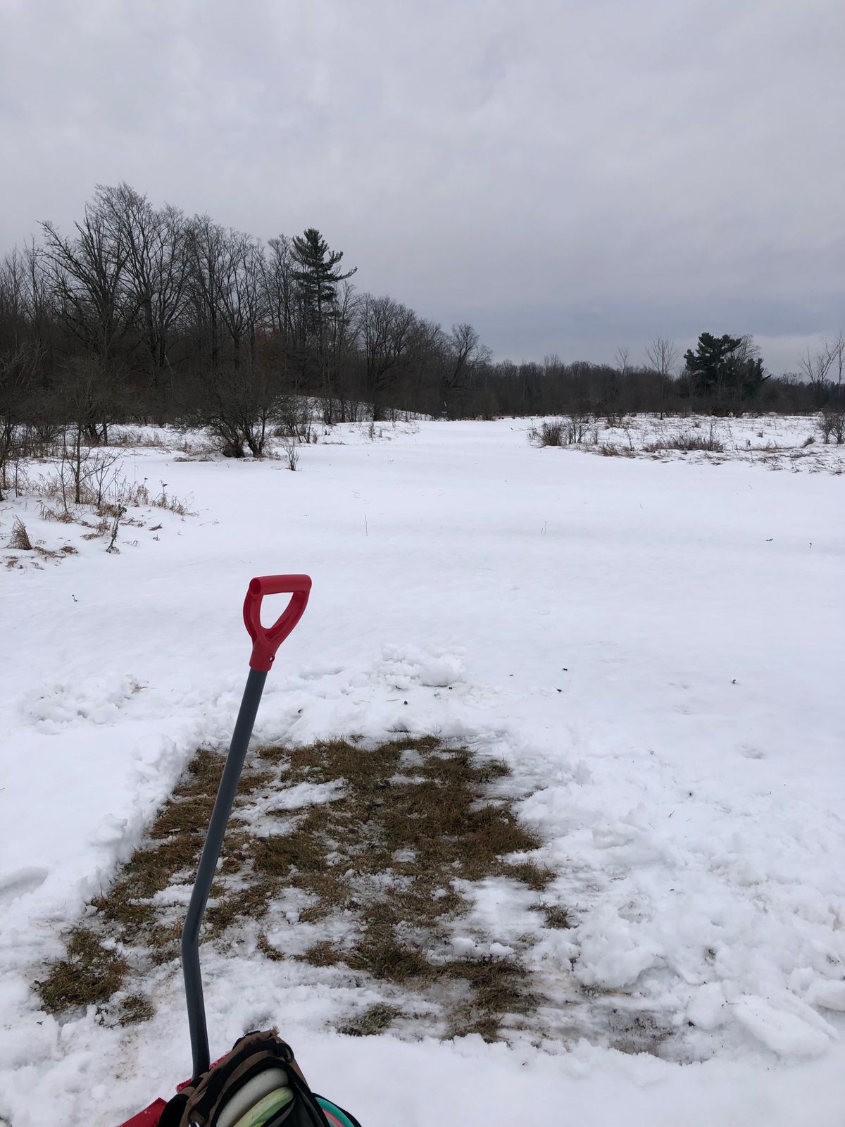Hole 4 red tee location just need to install pad